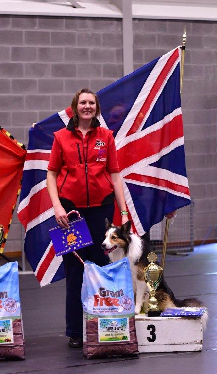 Latest report from the Clwyd Retriever clubs Annual working tests