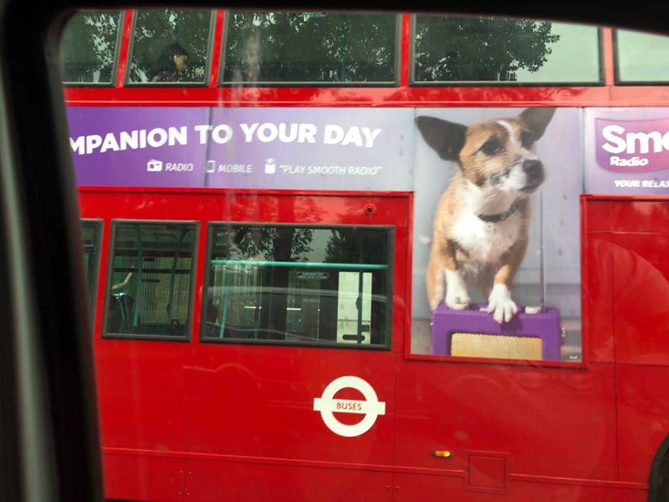 Jinty on a Bus