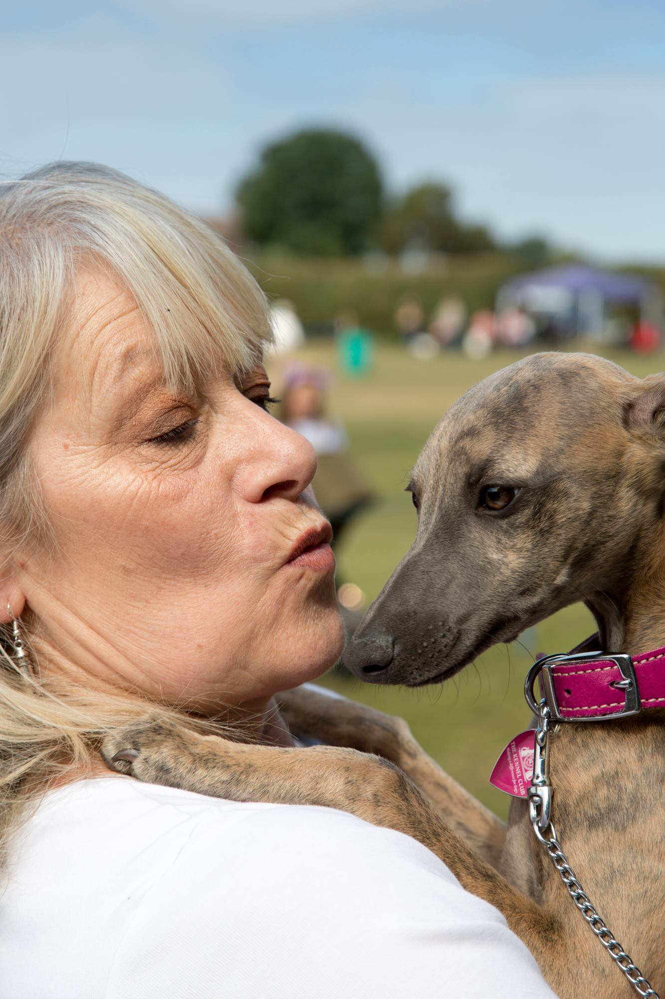 Calverhall DOg Show 02