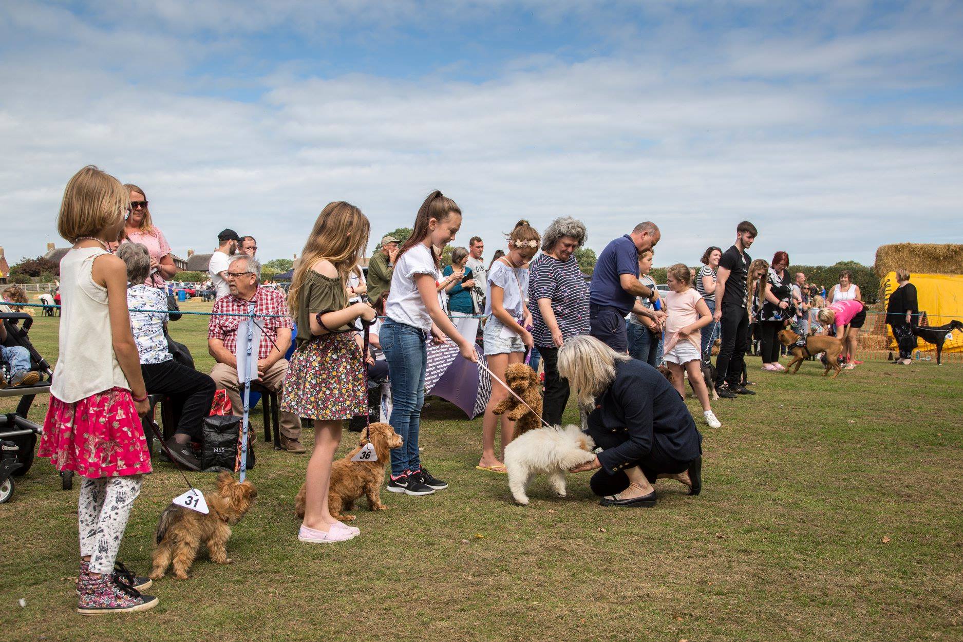 Calverhall Dog Show 03