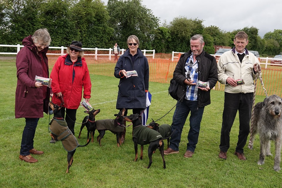 Scottish Game Fair Four Nations International Gundog Competition  Scone Palace on the 6th July 2019