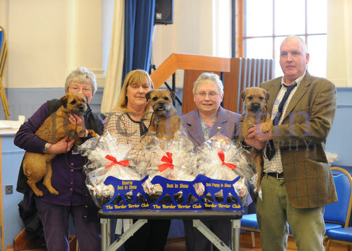 The Border Terrier Club Open Show on Saturday 22 February 2020