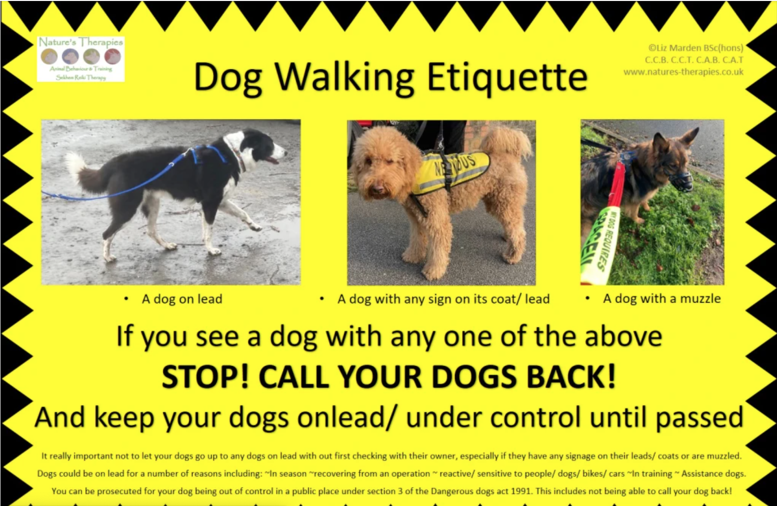 Dog walking etiquette – spreading awareness