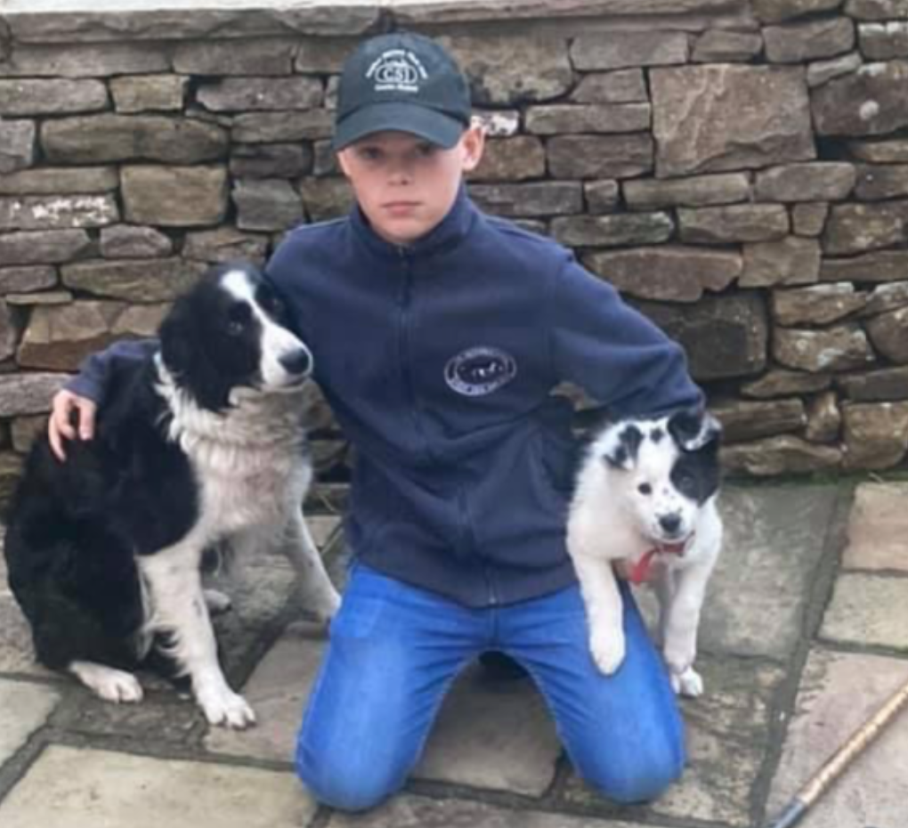 12 yr old Charlie Dumbleton gave top handlers a run for their money at Deerplay hill trial