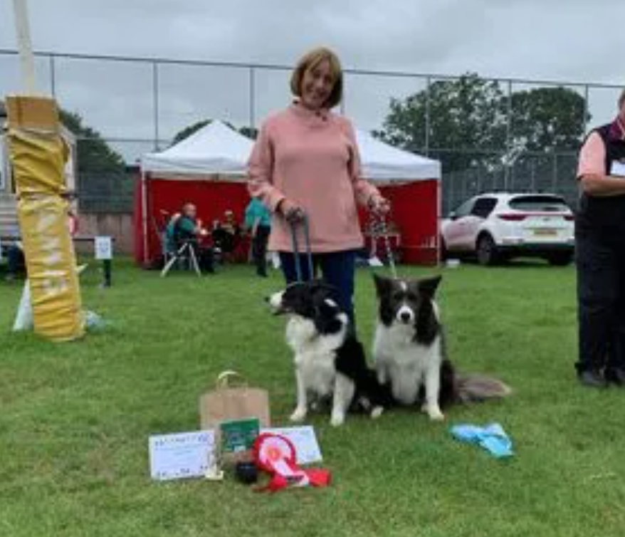 See the winners from the Danesford Obedience Show