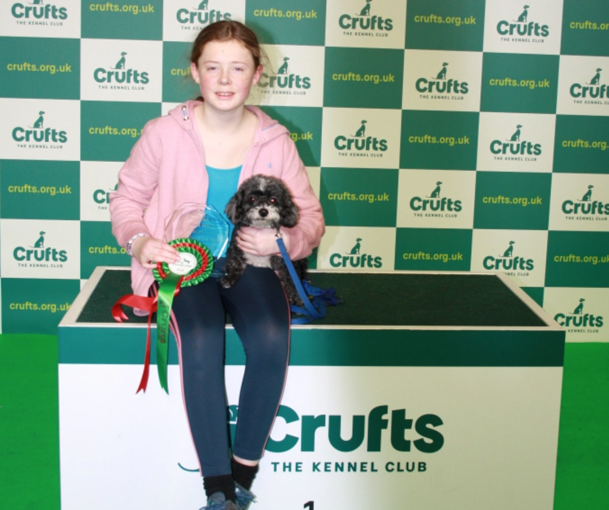 Chloe and Bilbo win YKC Agility Dog of the Year – Small 6-11 years