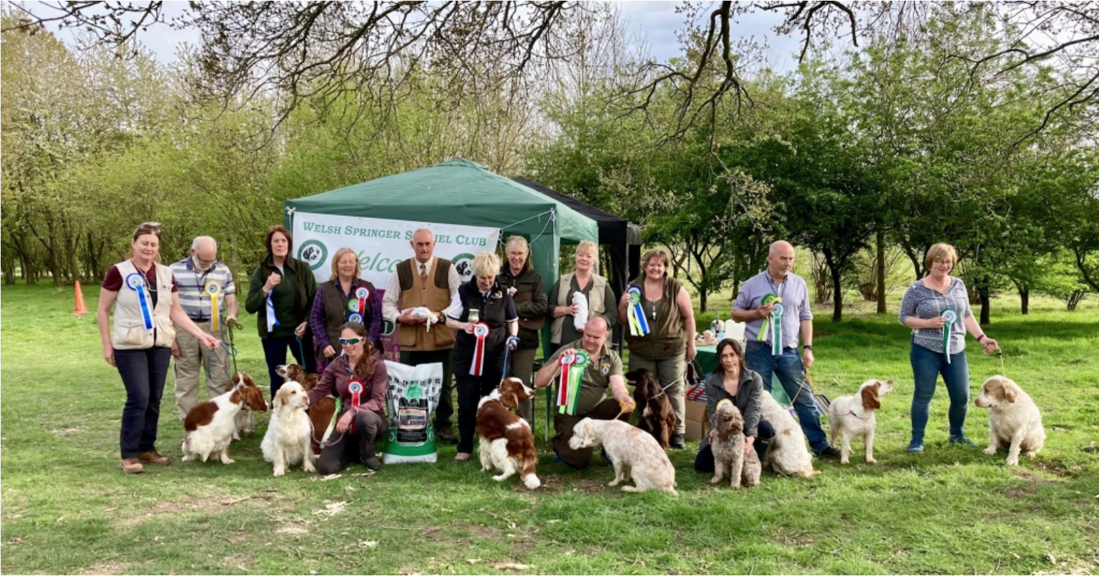 WSCC Working Assessment Tests for Any Variety Spaniel