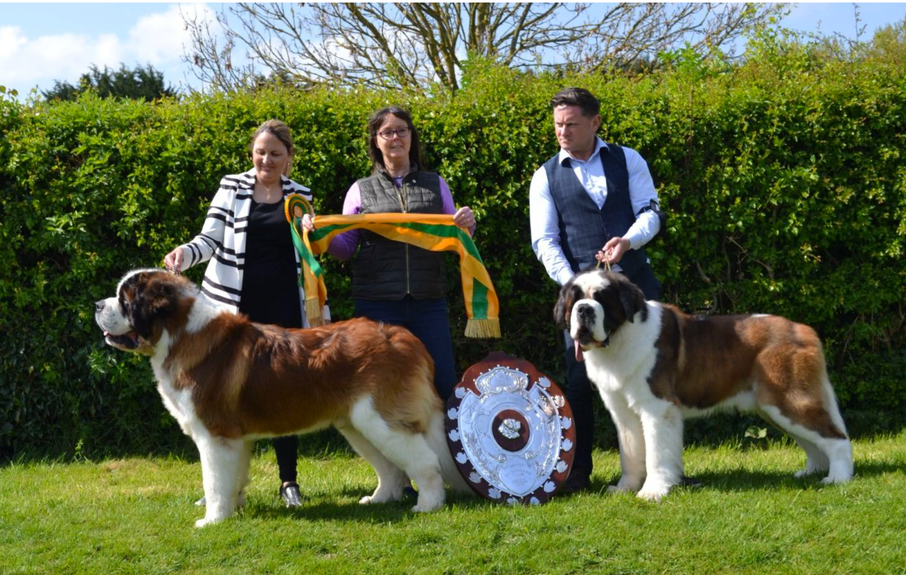 United St Bernard Breed Open Show, April 2022