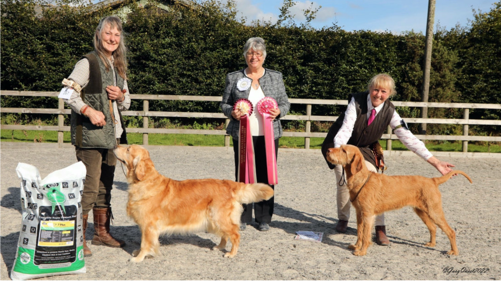 Cornwall Gundog Club Show, 18th September 2022