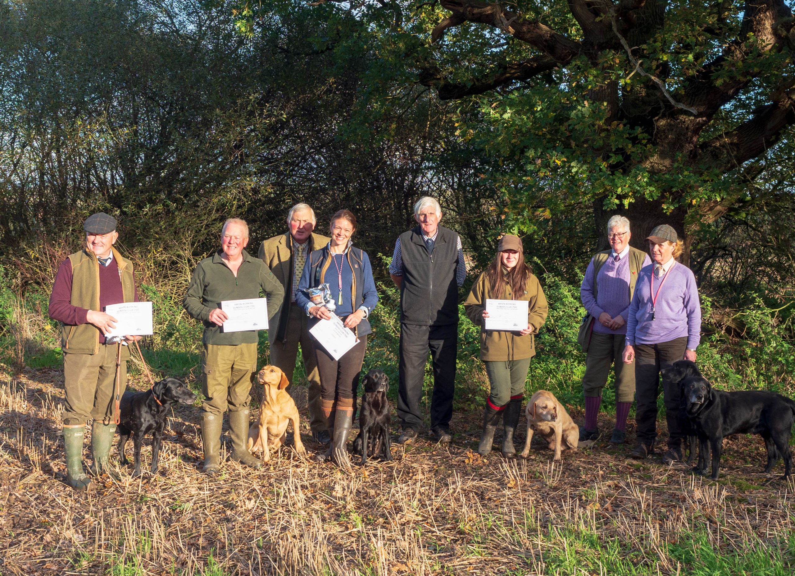 Arfon Working Gundog Group Open AV Retriever Trial